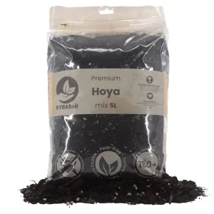 Mélange pour Hoya Sybotanica 5L / 1,3Kg