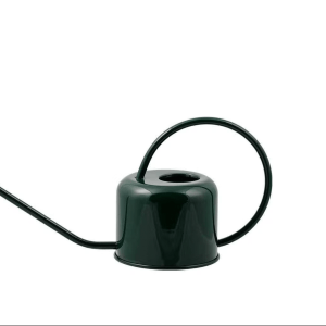Arrosoir PLINT 0,9L Vert
