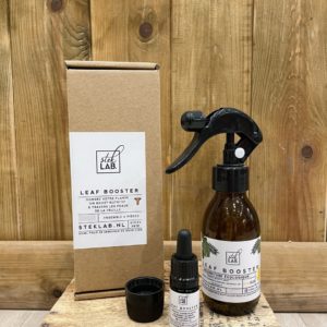 Booster de feuilles Steklab 100ml