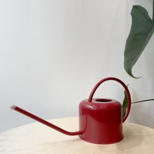 Arrosoir PLINT 0,9L rouge