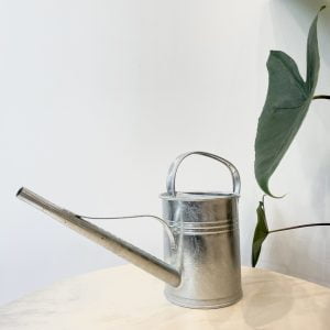 Arrosoir PLINT 1,5L Zink (Copie)