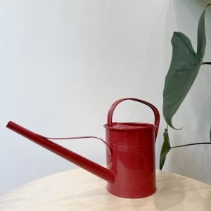 Arrosoir PLINT 1,5L rouge