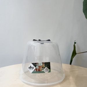 Serre de culture cloche Elho "Green Basics" 17cm