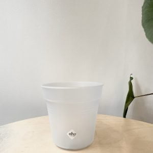 Pot de culture Elho Green Basics Transparent 13cm