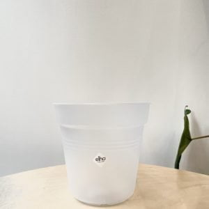 Pot de culture Elho Green Basics Transparent 15cm