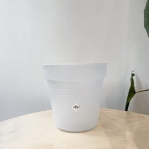 Pot de culture Elho Green Basics Transparent 17cm