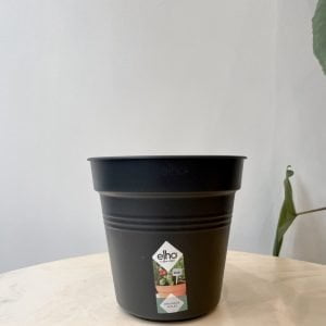 Pot de culture noir Elho "Green Basics" 17cm