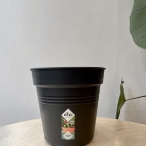 Pot de culture noir Elho "Green Basics" 19cm