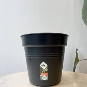 Pot de culture noir Elho "Green Basics" 21cm