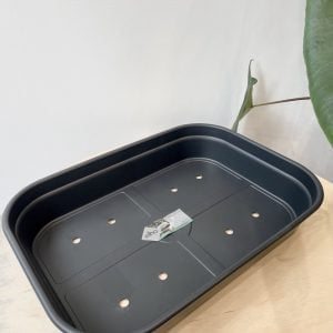 Plateau de culture Elho "Green Basics" M