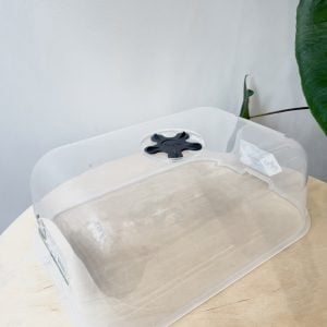 Serre de culture Elho "Green Basics" M