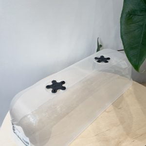 Serre de culture Elho "Green Basics" L