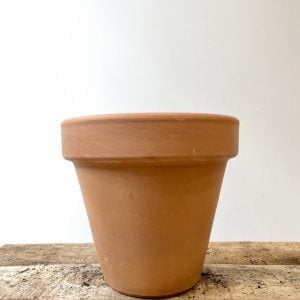 Pot en terre cuite 15cm