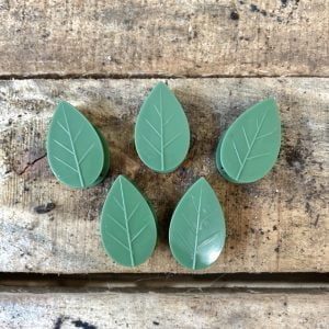 Clips pour Plantes Grimpantes (5)