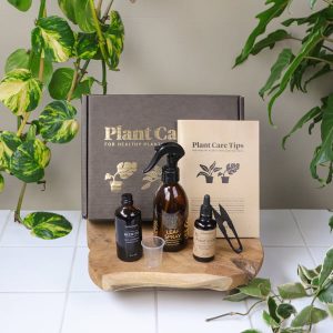 Kit d'entretien pour plantes Botanopia