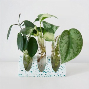 Station de bouturage " White Emerald" - My Little Plant