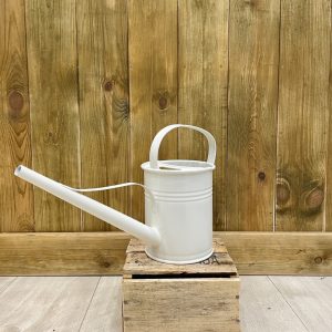 Arrosoir PLINT 1,5L crème