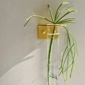Station de propagation murale simple - House of Two Trees / Moutarde