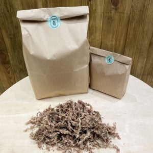 Sphaigne Chilienne 1L