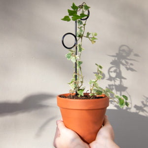 Mini tuteur pour plante Perch - Botanopia