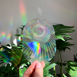 Suncatcher (Sticker créateur d’arc-en-ciel) Botanopia - You are the sunshine / Le soleil c'est toi