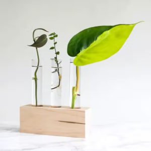 Station de bouturage en bois Steklab