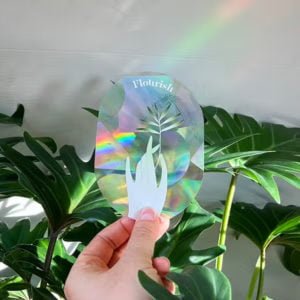 Suncatcher (Sticker créateur d’arc-en-ciel) Botanopia - Slow down and soak it up / Ralentis et apprécie