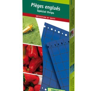 Pièges Chromatiques Bleus pour Thrips