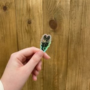Sticker Alocasia Bambino Pink Variegata