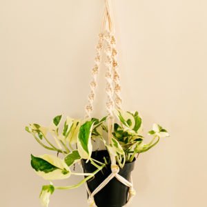 Suspension macramé torsadée Vert Le Vivant