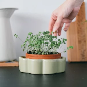 Pot autonome George (cuisine) - Vert sauge Pépin