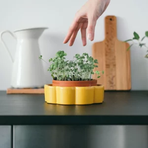 Pot autonome George (cuisine) - Jaune Moutarde Pépin