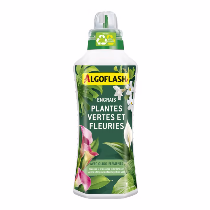 Engrais Liquide Plantes Vertes et Plantes Fleuries Algoflash 1L