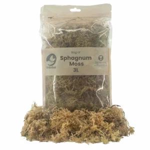 Sphaigne vivante Sybotanica 3L /150g