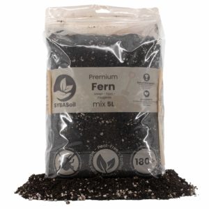 Mélange Fougères Sybotanica 5L / 1,1Kg