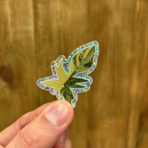 Sticker Philodendron Florida Beauty