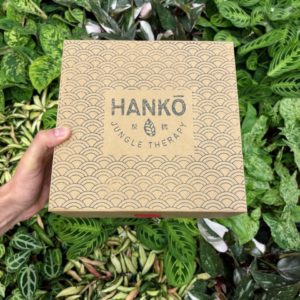 Notre Box de plantes rares