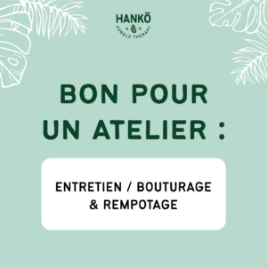 Bon pour atelier : Entretien - Bouturage & Rempotage