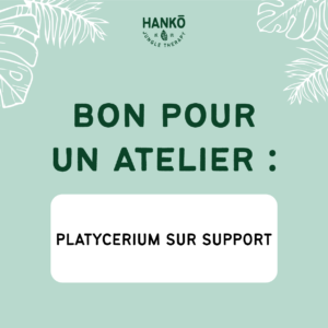 Bon pour atelier : Platycerium sur support