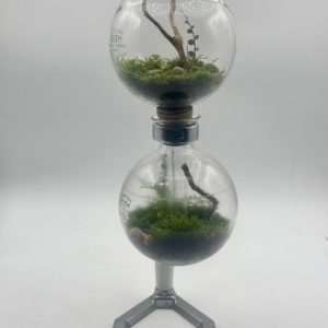 Terrarium Hellem