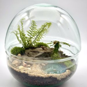 Terrarium Beach
