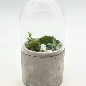 Terrarium Mini "Jaune"