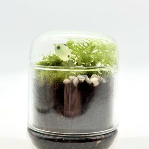Terrarium Mini Cloche "Rose"