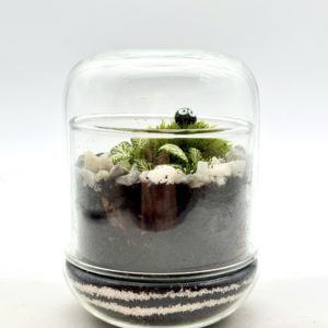Terrarium Mini Cloche "Dorée"