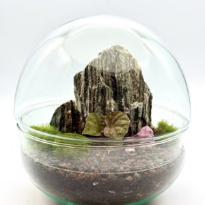 Terrarium Pink Dream