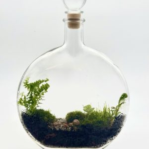 Terrarium Prohibition
