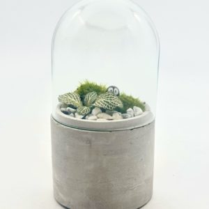 Terrarium Mini "Rose/Blanc"