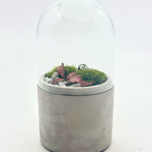 Terrarium Mini "Rose/Vert"