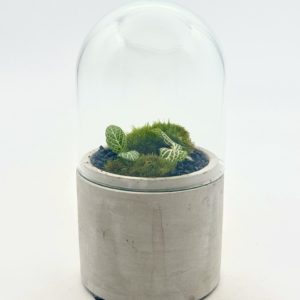 Terrarium Mini "Rose/Rouge"