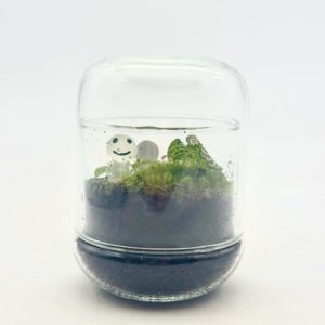 Terrarium Mini Cloche "Bleu/Blanc"